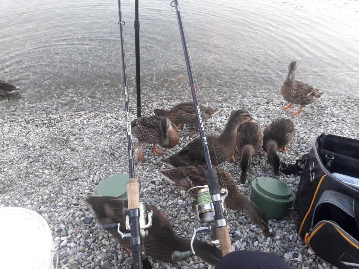 Wildente Am See Maishofen Bagian luar foto